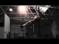 Aerial trapeze aaron twitchen  lady gaga do what you want