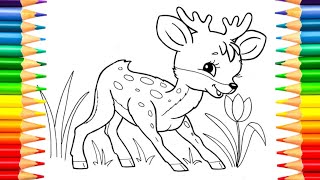 Deer / How to draw an deer / cartoon coloring deer for kids / cartoon coloring pages for kids