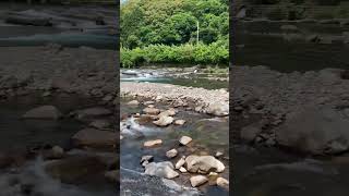 高知県　安田川　鮎釣りの人には有名　ダムのない川　標高1228mのひえごや山を水源に、土佐湾に注ぐ