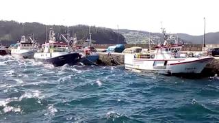 Temporal do Nordeste no Porto de Cedeira (Xosé Cheda)