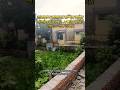 বারাসাত কামাখ্যা মন্দির আইচ বাগানের কাছে ১.৮কাটা জমি। #realestate #kolkata #house #land #flat