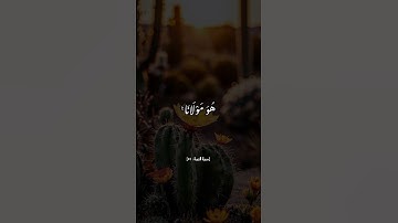 #سورة_التوبة #القرآن_الكريم #اكسبلور #ذكر_الله #لايك #القرآن #حالات_واتس #تلاوة_خاشعة #راحة_نفسية