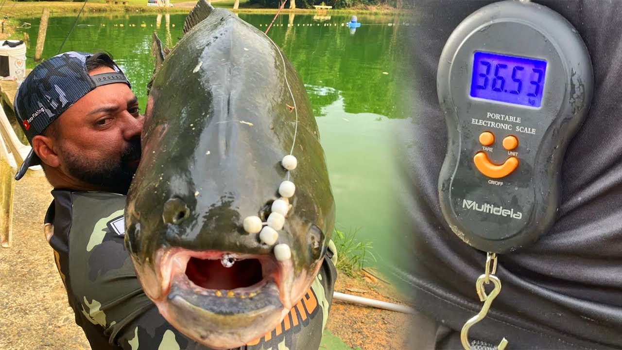 ACHAMOS O NINHO DOS HULKS NO EVA NO 3 IRMÃOS