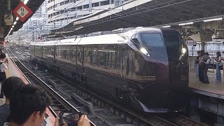 【天皇皇后両陛下乗車の御静養お召し列車！】JR東日本 E655系都オク編成 9002M 団臨 東京行 横浜駅通過！[2025.08.07(木)]