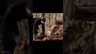 Building a Survival Cabin with Chimney-Wooden Roof#shelter #bushcraft #2025 🪵#outdoor #tiktok #wood