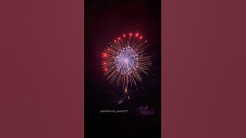 Raccoon fireworks 8” Inch display shell #shell #pyro  #vuurwerk
