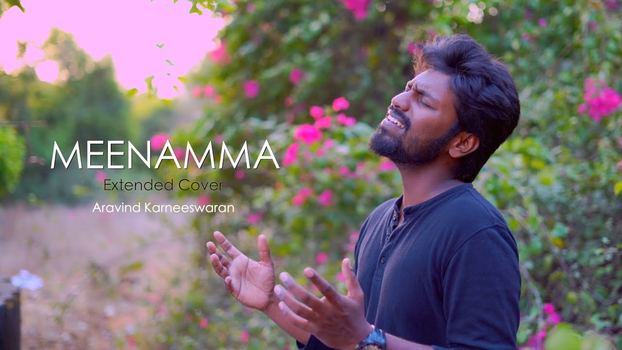 Meenamma Extended cover  Aasai  Aravind Karneeswaran  Deva