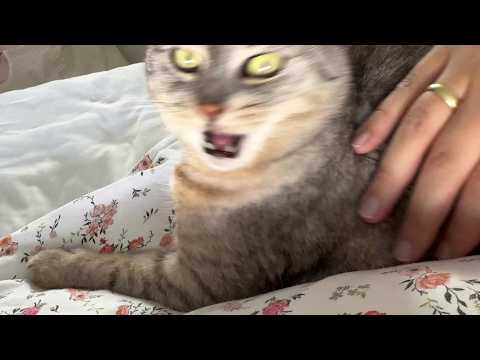 Revving the grump engine