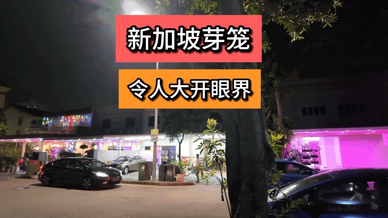 新加坡-鼎鼎大名的芽籠令人大開眼界