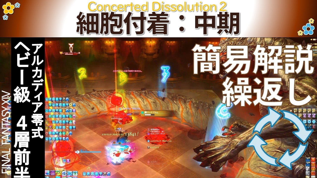 【予習・復習用】　細胞付着：中期　簡易解説　早見表　反復練習　|　アルカディア零式ヘビー級４層（前半）　ゲーム８