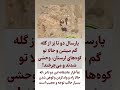 بز اهلی که وحشی شد بز اهلی که وحشی شد