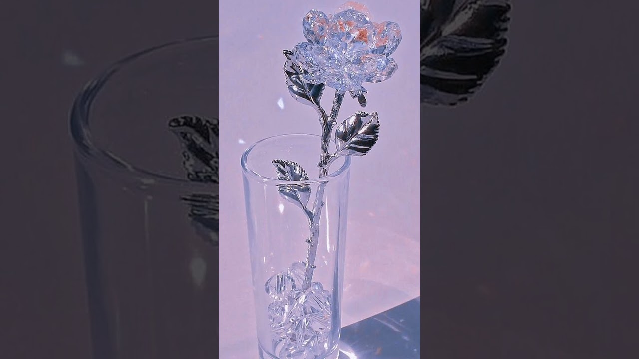 Beautiful nature pictures