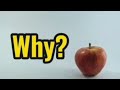 DSCOO21_APPLE.mp4
