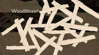 What is Engineered Wood Strand Mulch? thumbnail
