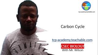 CARBON CYCLE