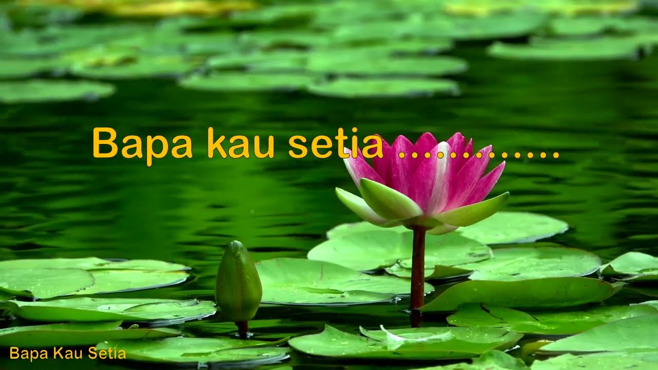 Bapa Kau Setia  (Cover Putri Ayu)(Lirik) | Design by Hans Studio