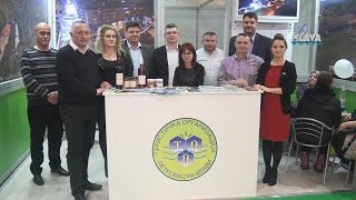 Opstina  Petrovac na Mlavi  na 39. Sajmu turizma u Beogradu  (RTV MLAVA 24.02.2017.)