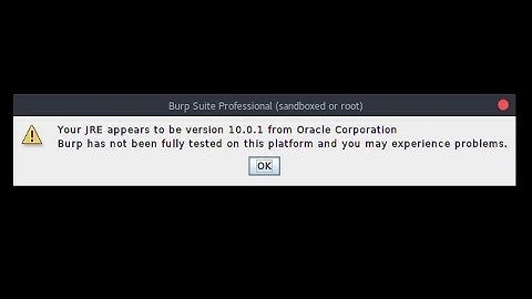 How to Fix Burp Suite Community | Professional Java Error While Starting