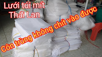 Cung cấp túi bao mít, mãng cầu, bưởi côn trùng không chít vào được, o335..399,,558