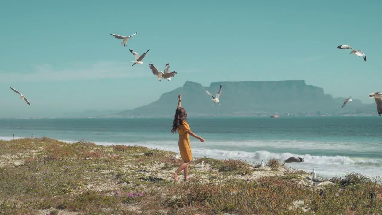 Latin Nights LIVE | Traditional Son Cubano & Classic Salsa Vibes