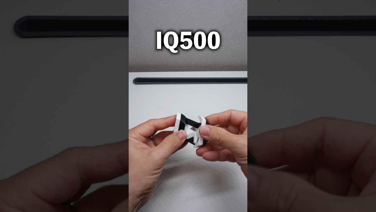 IQ500以上ある人間でしか完成できないパズル