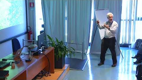 Spatial modelling: origin of spatial structures