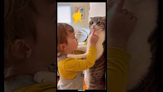 Baby And Cat Best Friends😍😍 #catshorts #cats #animals