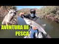 Pescando robalos y compartiendo pesca || Lupe lofish ||