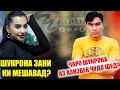 ЧАРО ШУКРОНА АЗ АЗИБЕК ЧУДО ШУД ?| ШУКРОНА БА ШАВХАР МЕБАРОЯД ЗАНИ КИ МЕШАВАД?