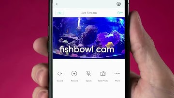 Baby Monitor with Camera and Audio #alexa