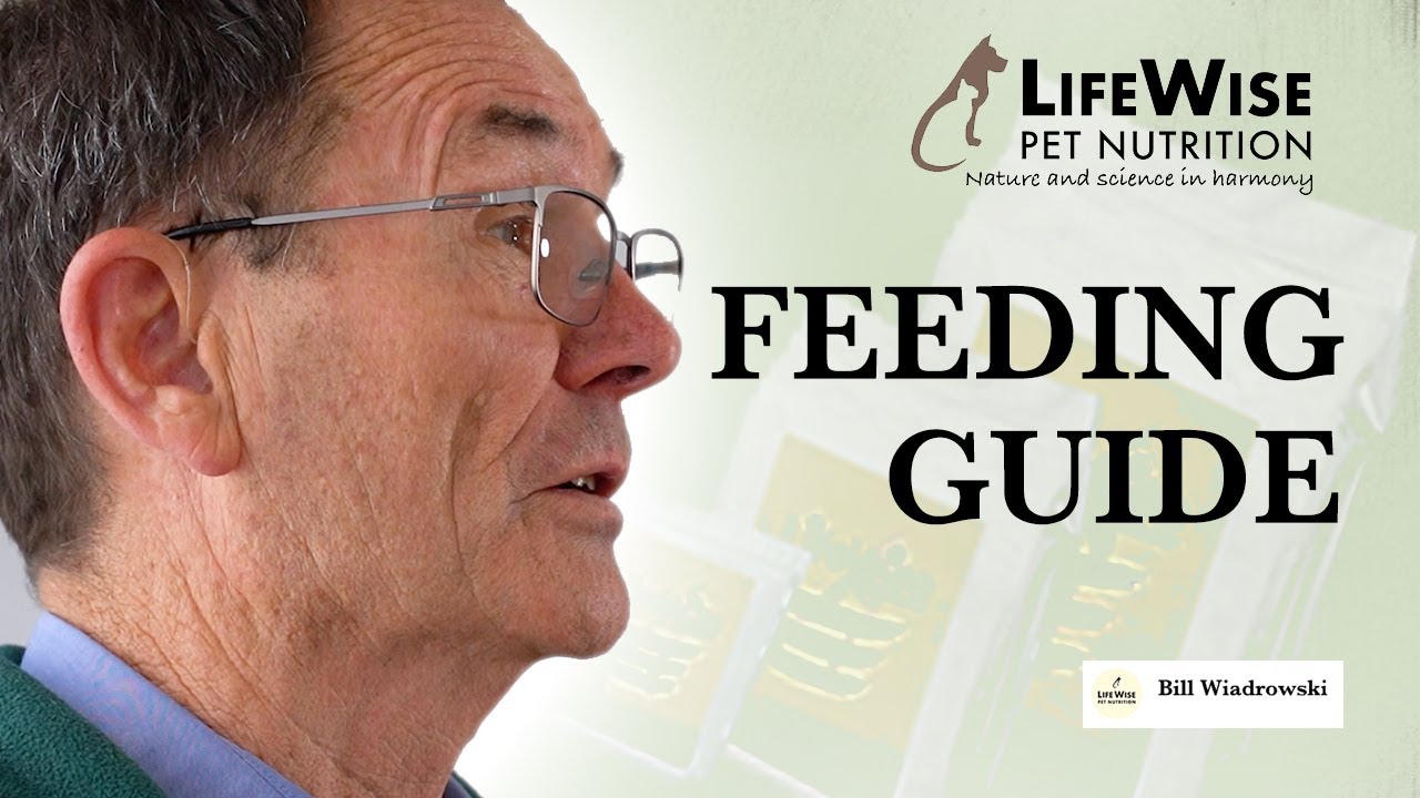 Feeding Guide | LifeWise