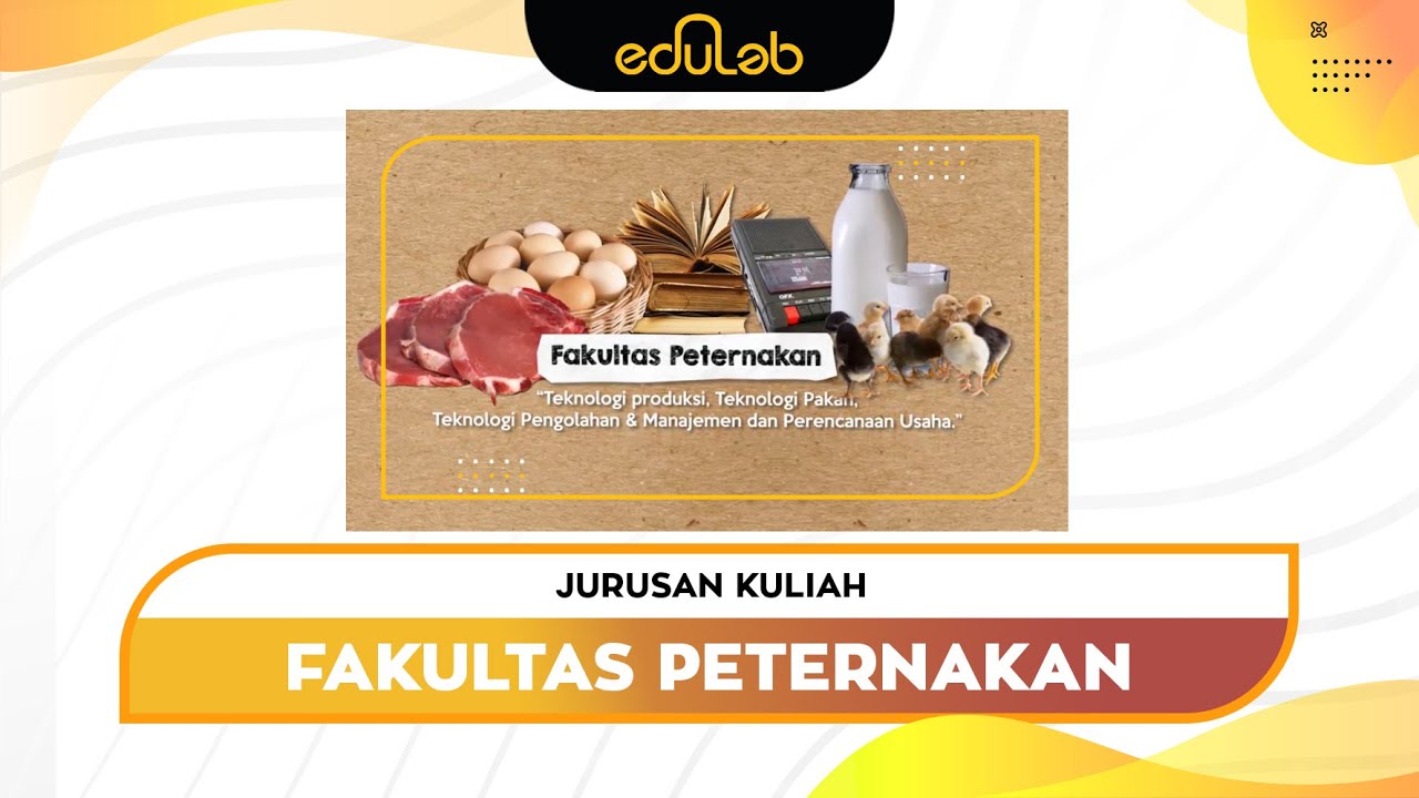 Jurusan Kuliah : Ilmu Peternakan