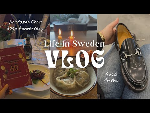 🇸🇪VLOG | 스웨덴 파티 광인의 역대급 파티 | 구찌 홀스빗 로퍼 후기 | 케찹 파스타 vs 라면에 간장넣기