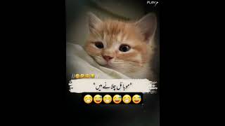 Teen Kamwwe funny youtubeshorts