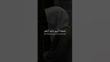 قرآن كريم بصوت هادئ ومريح 🤲🕋🤲🕋🤲🕋 #اكسبلور #راحة_نفسية