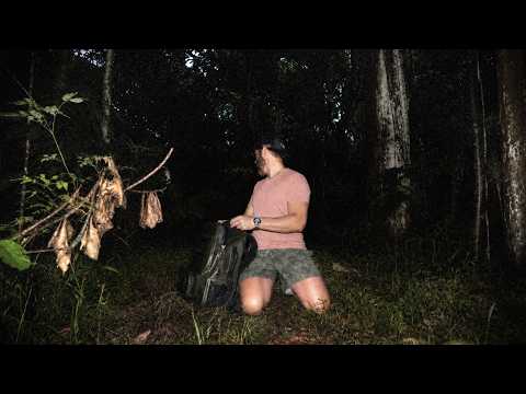5 Scary Amazon Rainforest Encounters Caught on Camera