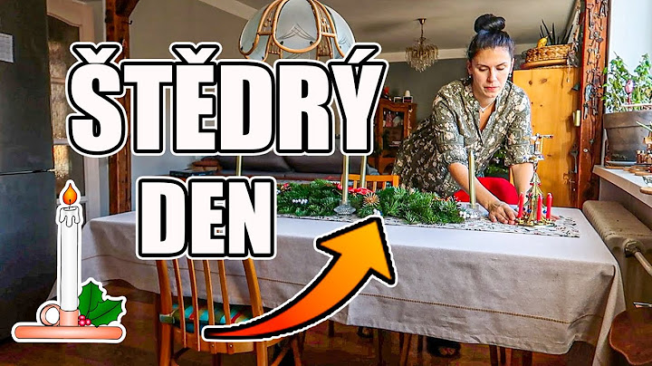 CO SE U NÁS DĚLO NA ŠTĚDRÝ DEN, PRVNÍ VÁNOCE U NÁS V BYTĚ, DENNÍ VLOG