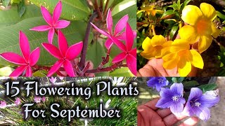 15 flowering plants for September month's  With Care & Names