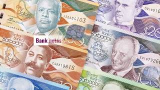 Dollars and Cents - All you need to know about Barbados currency