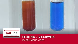 Die Fehling-Probe – Experiment für den Unterricht Chemie