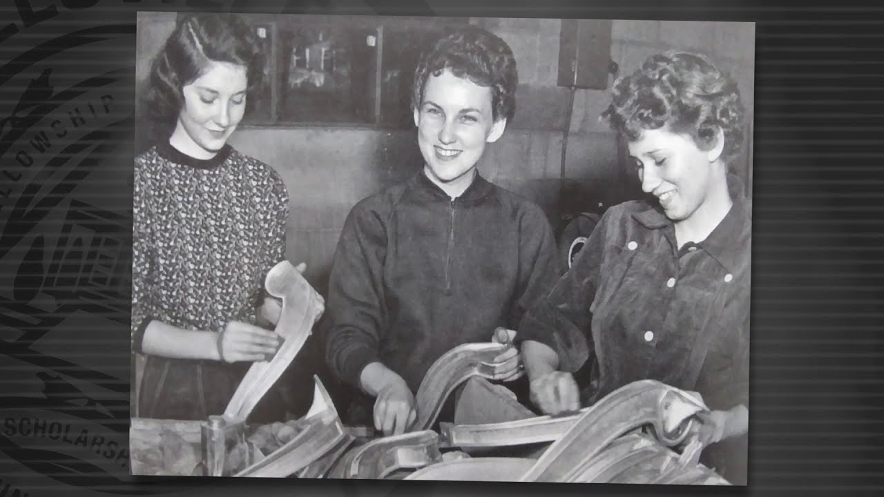 Play - Paws - Rewind