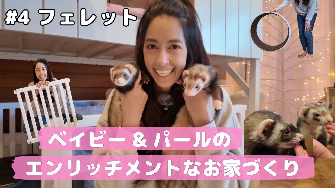 #4  フェレット　ベイビー&パール ／ Interducing ferrets Baby & Pearl