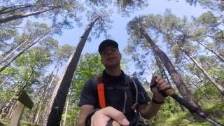 2017 LSHT (lone star hiking trail ) Thru-Hike Day #1 part 3 lost phone