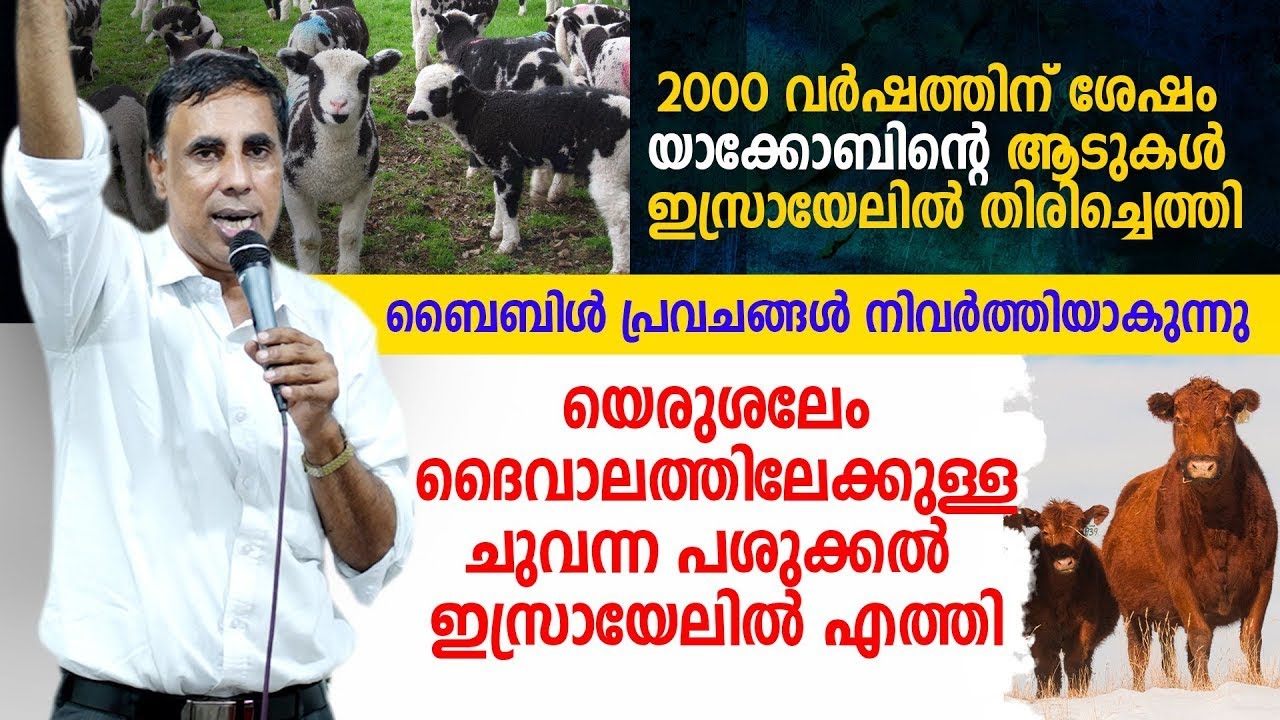 🔴 2000 വർഷങ്ങൾക്ക് ശേഷം യാക്കോബിന്റെ ആടുകൾ ഇസ്രായേലിൽ തിരിച്ചെത്തി | Pr Saju Chathannoor | Faithmore