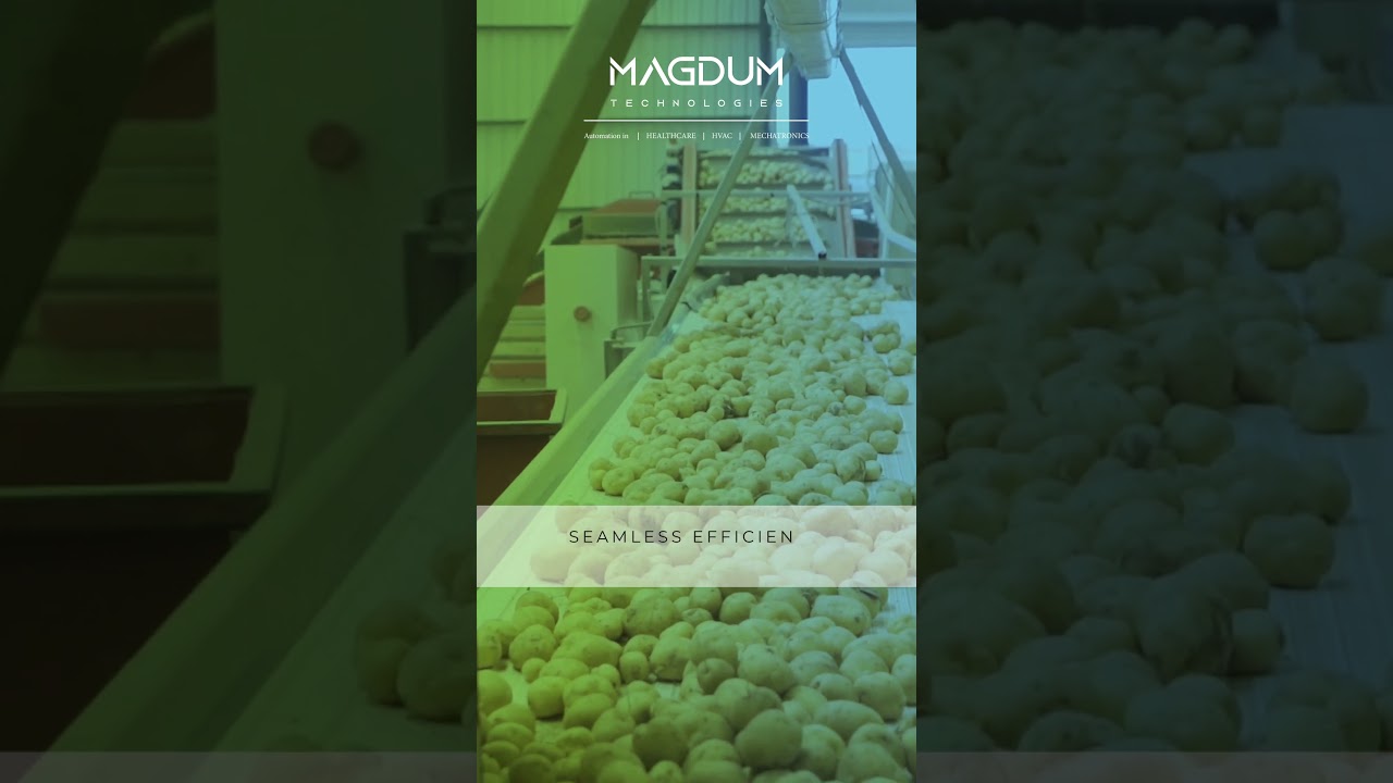 Seamless Efficiency, Uncompromised Quality – Food Processing Automation by Magdum Technologies