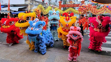 Diễu Hành Múa Lân Sư Rồng Phi Anh Đường nhân dịp Lễ Ra Mắt và Khai Quang Điểm Nhãn Lân Sư Rồng 2026