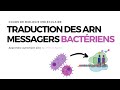 Traduction chez les procaryotes  acides nucleiques