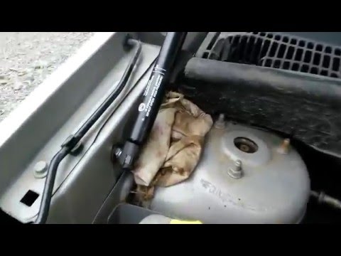 Газовые упоры капота на Ford Fusion от Лады Калины седан