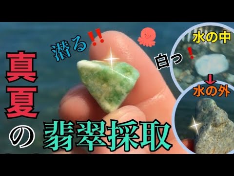 真夏の翡翠採取】歩いて、潜って、謎の生物との死闘も勃発
