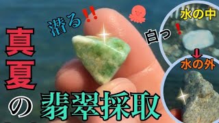 真夏の翡翠採取】歩いて、潜って、謎の生物との死闘も勃発